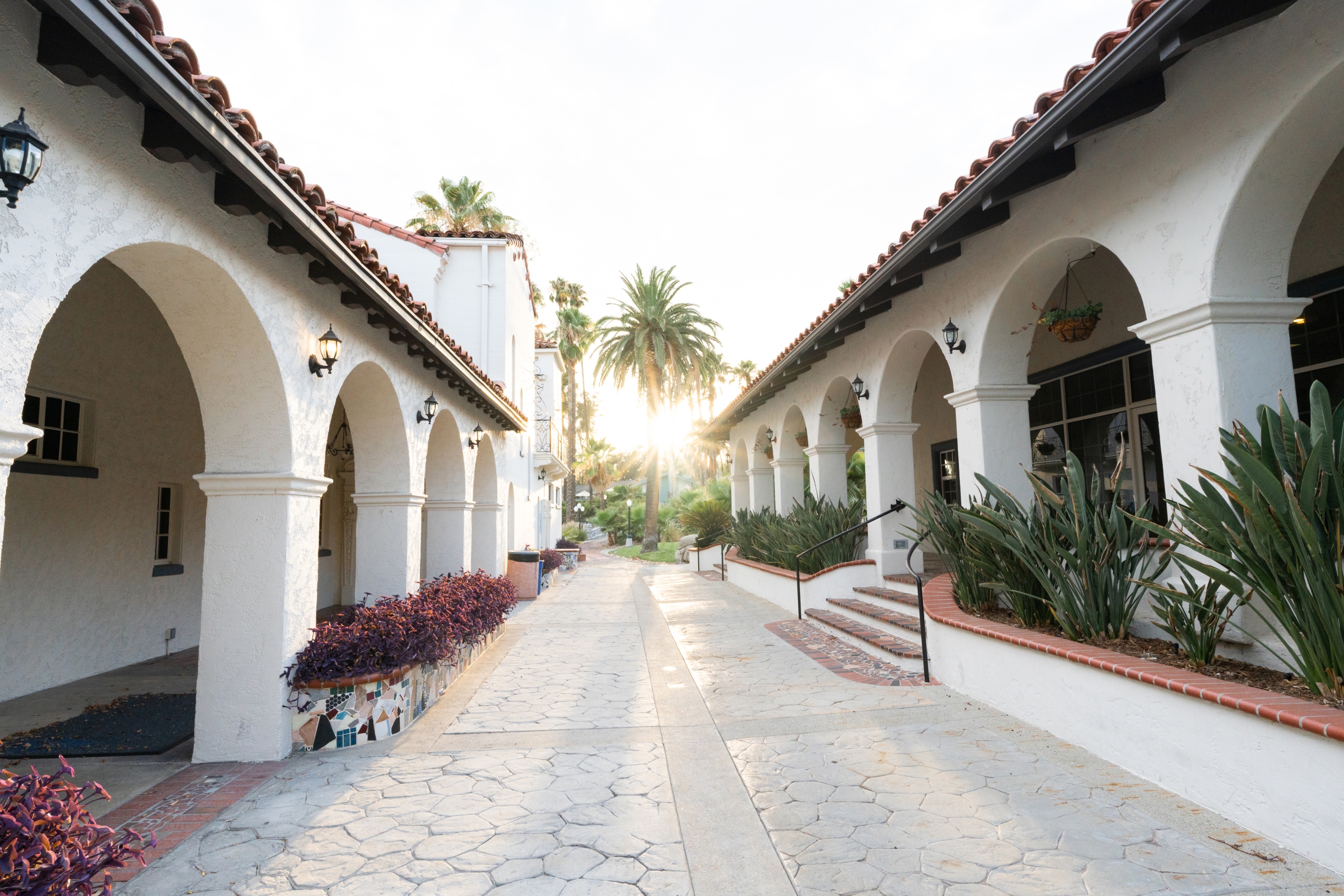 Murrieta Hot Springs Resort path