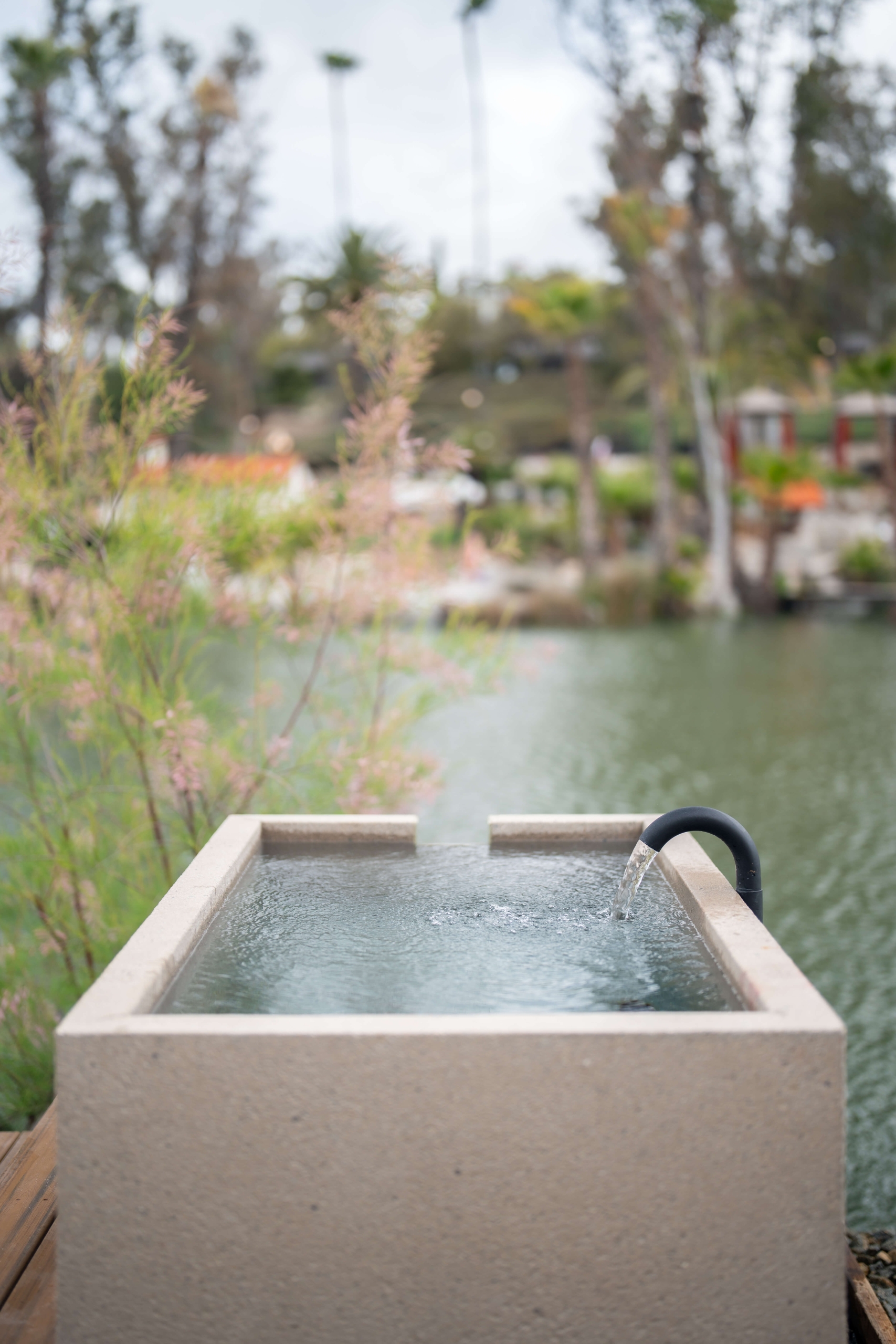 Geothermal Mineral Pool at Murrieta Hot Springs